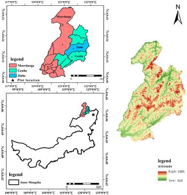 Carbon storage and carbon pool characteristics of Larix gmelinii forest in Daxing’anling, Inner Mongolia, China